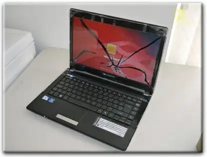 Замена матрицы Packard Bell в Раменском